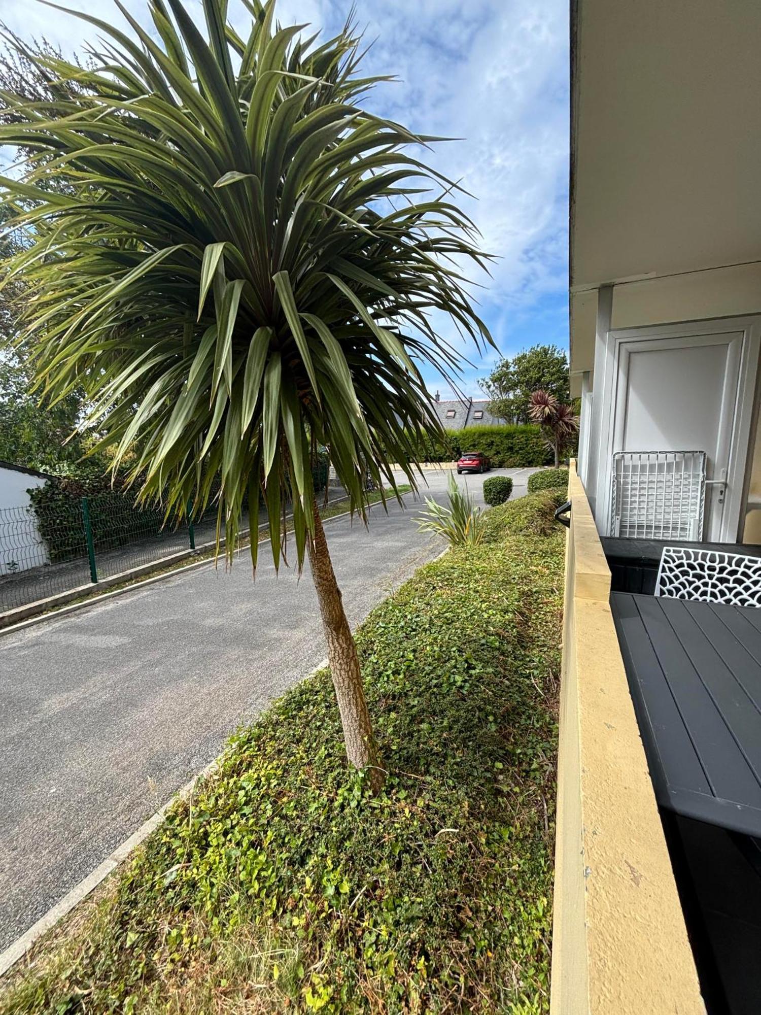 Appartement Studio 4 Personnes Dans Residence Avec Piscine Киберон Экстерьер фото